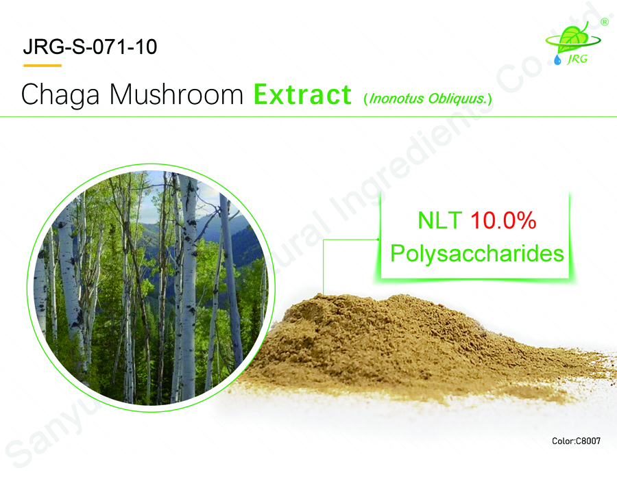 白樺茸提取物